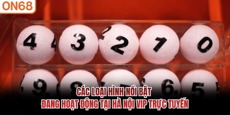 Các loại hình nổi bật đang hoạt động tại Hà Nội VIP trực tuyến